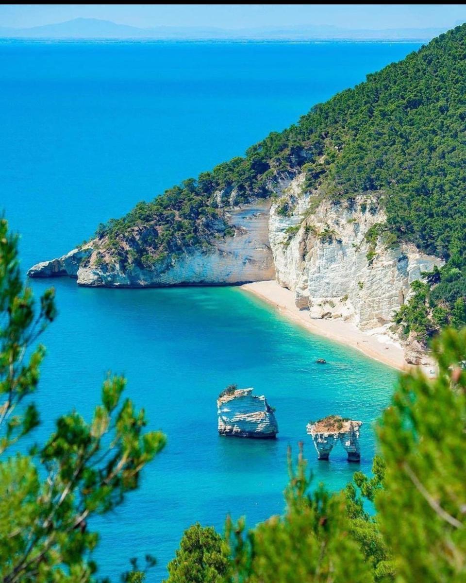 Casa Gargano Daire Carpino Dış mekan fotoğraf